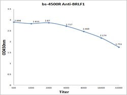 BRLF1 Rabbit anti-Human, Polyclonal, Bioss 100 &mu;L; Unconjugated:Antibodies,