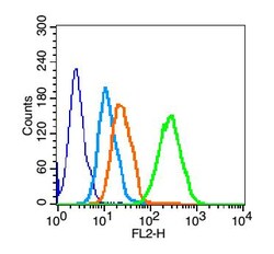 CD19 Rabbit anti-Human, Polyclonal, Bioss 100 &mu;L; Unconjugated:Antibodies,