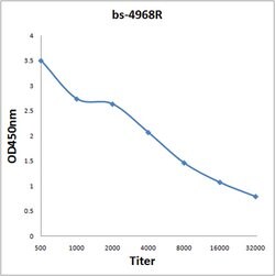 PAPOG Rabbit anti-Human, Polyclonal, Bioss 100 &mu;L; Unconjugated:Antibodies,
