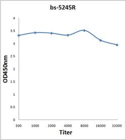 Phospho-Cdc25B (Ser353) Rabbit anti-Human, Polyclonal, Bioss 100 &mu;L | Buy Online | Bioss | Fisher Scientific