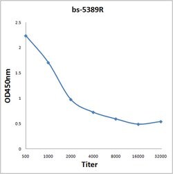Phospho-HDAC2 (Ser394) Rabbit anti-Human, Polyclonal, Bioss 100 &mu;L;