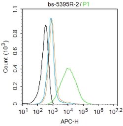 Phospho-IL-7Ra (Tyr449) Rabbit anti-Human, Polyclonal, Bioss 100 &mu;L;