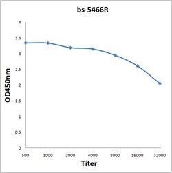 Phospho-JunD (Ser255) Rabbit anti-Human, Polyclonal, Bioss 100 &mu;L | Buy Online | Bioss | Fisher Scientific