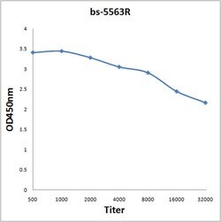 Phospho-PRKD1 (Tyr463) Rabbit anti-Human, Polyclonal, Bioss 100 &mu;L;