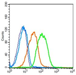 ADAM28 Rabbit anti-Human, Polyclonal, Bioss 100 &mu;L; Unconjugated:Antibodies,