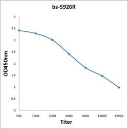 MAS1L Rabbit anti-Human, Polyclonal, Bioss 100 &mu;L; Unconjugated:Antibodies,