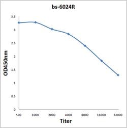 CA10 Rabbit anti-Human, Polyclonal, Bioss 100 &mu;L; Unconjugated:Antibodies,