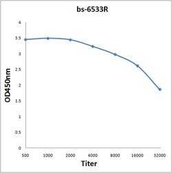 EIG121 Rabbit anti-Human, Polyclonal, Bioss 100 &mu;L; Unconjugated:Antibodies,