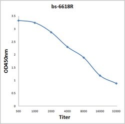 PAPPA Rabbit anti-Human, Polyclonal, Bioss 100 &mu;L; Unconjugated:Antibodies,