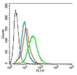 KCNK3 Rabbit anti-Human, Polyclonal, Bioss 100 &mu;L; Unconjugated:Antibodies,