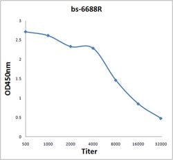 SCN8A Rabbit anti-Human, Polyclonal, Bioss 100 &mu;L; Unconjugated:Antibodies,