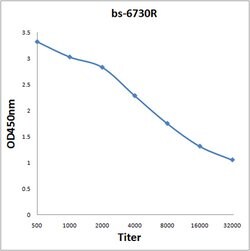 Upstream Binding Protein 1 Rabbit anti-Human, Polyclonal, Bioss 100 &mu;L;