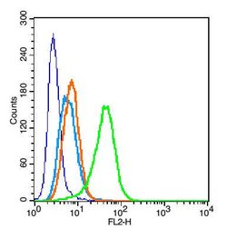 Perilipin A+B Rabbit anti-Human Mouse, Polyclonal, Bioss 100 &mu;L; Unconjugated:Antibodies,