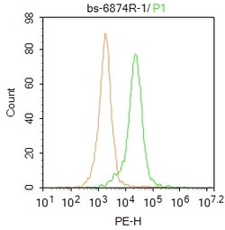 Catalase Rabbit anti-Human, Polyclonal, Bioss 100 &mu;L; Unconjugated:Antibodies,