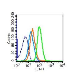 NGFR Rabbit anti-Human, Polyclonal, Bioss 100 &mu;L | Buy Online | Bioss | Fisher Scientific