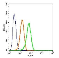 beta Defensin 3 Rabbit anti-Human, Polyclonal, Bioss 100 &mu;L; Unconjugated:Antibodies,