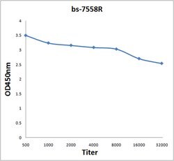 RAB35 Rabbit anti-Human, Polyclonal, Bioss 100 &mu;L; Unconjugated:Antibodies,