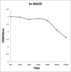 BASP1 Rabbit anti-Human, Polyclonal, Bioss 100 &mu;L; Unconjugated:Antibodies,