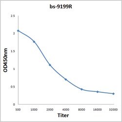 IGSF9 Rabbit anti-Human, Polyclonal, Bioss 100 &mu;L; Unconjugated:Antibodies,