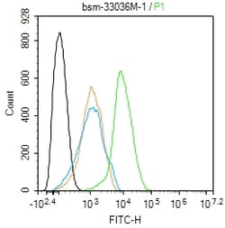 beta-Actin Monoclonal Antibody (1A2), Bioss 100 &mu;L | Buy Online | Bioss | Fisher Scientific