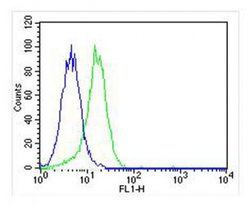 CSF1R Mouse anti-Human, Clone: 6C7, Bioss 100 &mu;L; Unconjugated:Antibodies,