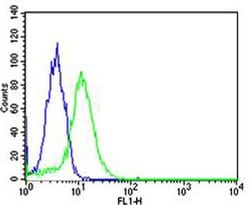TOP1 Mouse anti-Human, Clone: 1C6, Bioss 100 &mu;L; Unconjugated:Antibodies,
