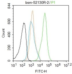 Phospho-Akt1 (Ser473) Rabbit anti-Human, Clone: 12A1, Bioss 100 &mu;L;