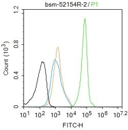 Phospho-Estrogen Receptor alpha (Ser118) Rabbit anti-Human, Clone: 3A7,
