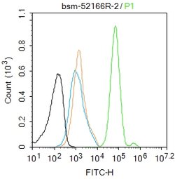 Phospho-HSF1 (Ser326) Rabbit anti-Human, Clone: 37E4, Bioss 100 &mu;L | Buy Online | Bioss | Fisher Scientific
