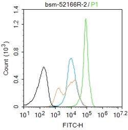 Phospho-HSF1 (Ser326) Rabbit anti-Human, Clone: 37E4, Bioss 100 &mu;L | Buy Online | Bioss | Fisher Scientific