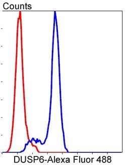 DUSP6 Rabbit anti-Human, Clone: 9C3 , Bioss 100 &mu;L; Unconjugated:Antibodies,