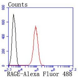 RAGE Rabbit anti-Human, Clone: 8G4, Bioss 100 &mu;L; Unconjugated:Antibodies,