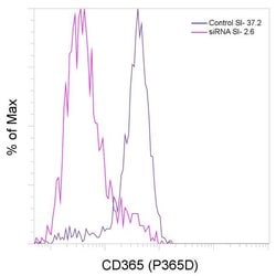 Invitrogen CD365 (Tim-1) Recombinant Rabbit Monoclonal Antibody (P365D),