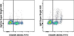 Invitrogen&trade;&nbsp;Mouse IgM Monoclonal Antibody (II/41), Super Bright&trade; 600, eBioscience&trade;