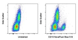 CD19 Monoclonal Antibody (HIB19), NovaFluor Blue 510, eBioscience , Invitrogen