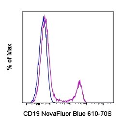 CD19 Monoclonal Antibody (HIB19), NovaFluor Blue 610-70S, eBioscience ,