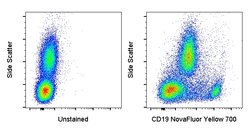 CD19 Monoclonal Antibody (HIB19), NovaFluor Yellow 700, eBioscience , Invitrogen 25 Tests | Buy Online | Invitrogen | Fisher Scientific