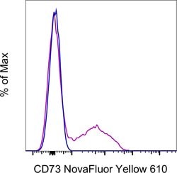 CD73 Monoclonal Antibody (AD2), NovaFluor Yellow 610, eBioscience , Invitrogen