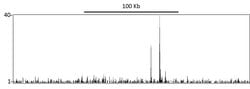 p53 Rabbit anti-Human, Polyclonal, Bethyl Laboratories 100 &mu;L; Unconjugated:Antibodies,