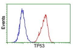 p53 Monoclonal Antibody (OTI3D5), TrueMAB , OriGene 100 &mu;L; Unconjugated:Antibodies,
