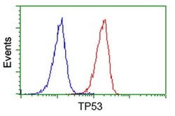 p53 Monoclonal Antibody (OTI3D5), TrueMAB , OriGene 100 &mu;L; Unconjugated:Antibodies,