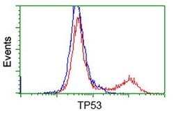 p53 Mouse anti-Human, Clone: OTI2C4, lyophilized, TrueMAB 100 &mu;g; Unconjugated:Antibodies,