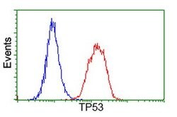 p53 Mouse anti-Human, Clone: OTI2C4, lyophilized, TrueMAB 100 &mu;g; Unconjugated:Antibodies,