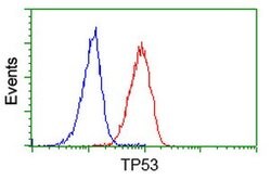 p53 Mouse anti-Human, Clone: OTI2C4, lyophilized, TrueMAB 100 &mu;g; Unconjugated:Antibodies,