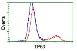 p53 Mouse anti-Human, Clone: OTI1C6, lyophilized, TrueMAB 100 &mu;g; Unconjugated:Antibodies,