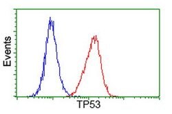 p53 Mouse anti-Human, Clone: OTI1C6, lyophilized, TrueMAB 100 &mu;g; Unconjugated:Antibodies,