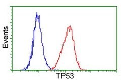 p53 Monoclonal Antibody (OTI1C6), TrueMAB , OriGene 30 &mu;L; Unconjugated:Antibodies,
