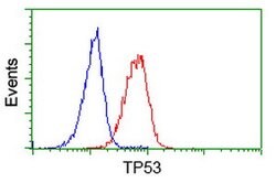 p53 Mouse anti-Human, Clone: OTI1C6, lyophilized, TrueMAB 100 &mu;g; Unconjugated:Antibodies,