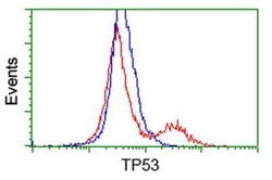 p53 Monoclonal Antibody (OTI2E4), TrueMAB , OriGene 30 &mu;L; Unconjugated:Antibodies,