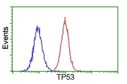 p53 Monoclonal Antibody (OTI2E4), TrueMAB , OriGene 30 &mu;L; Unconjugated:Antibodies,